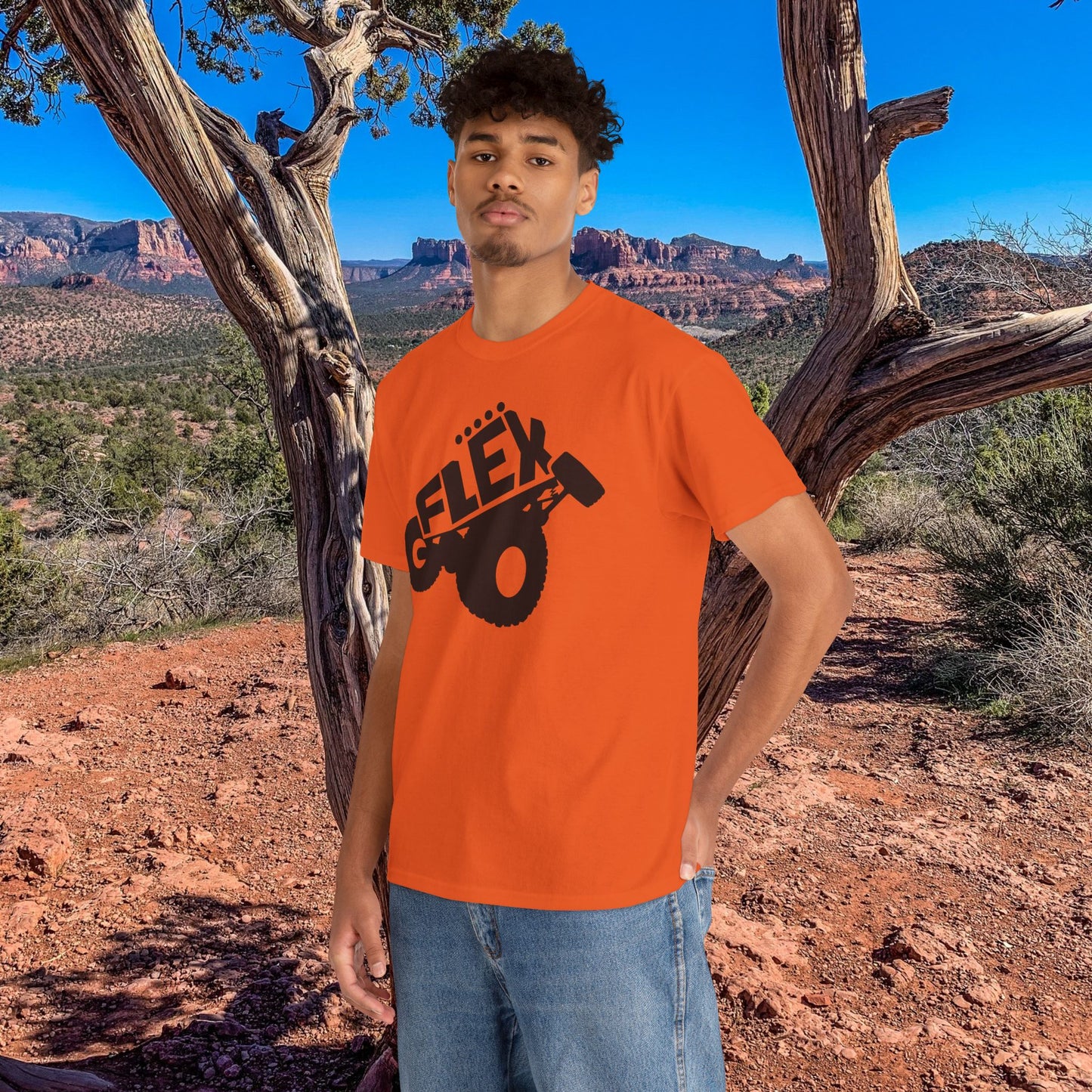 Flex Graphic