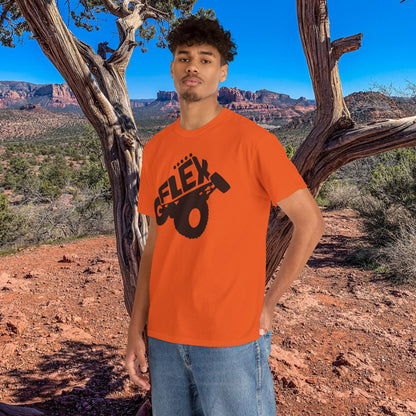 Flex Graphic